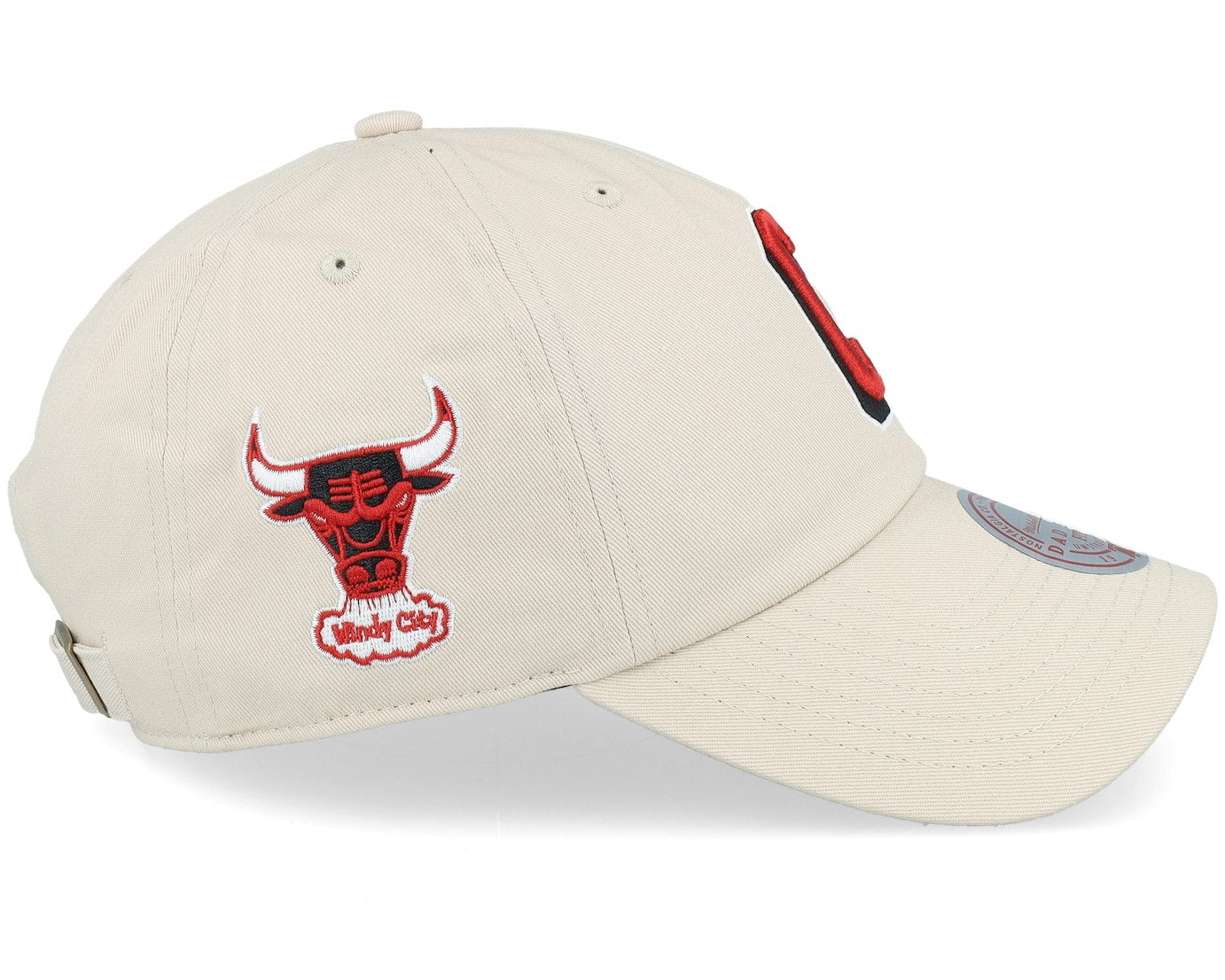 Swagger HWC Cream Dad Cap Chicago Bulls