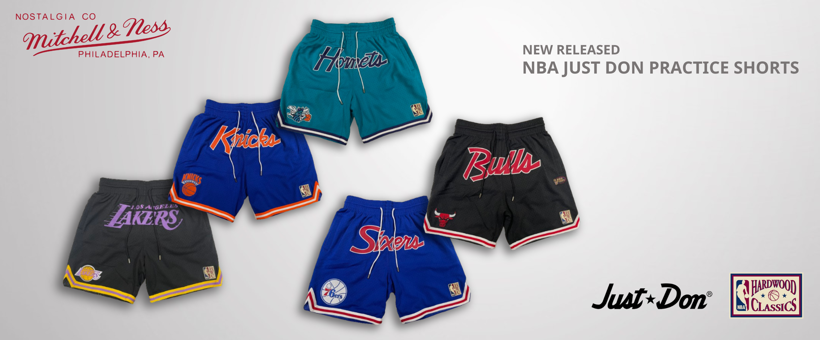 Mitchell and ness top lakers shorts lebron