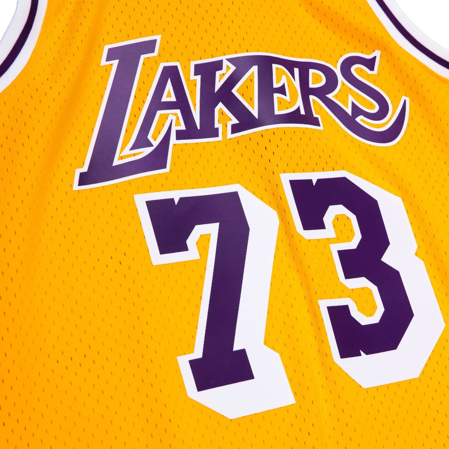 NBA Swingman Jersey Los Angeles Lakers 1998-99 Dennis Rodman