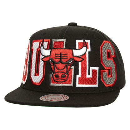 Varsity Bust Snapback Chicago Bulls