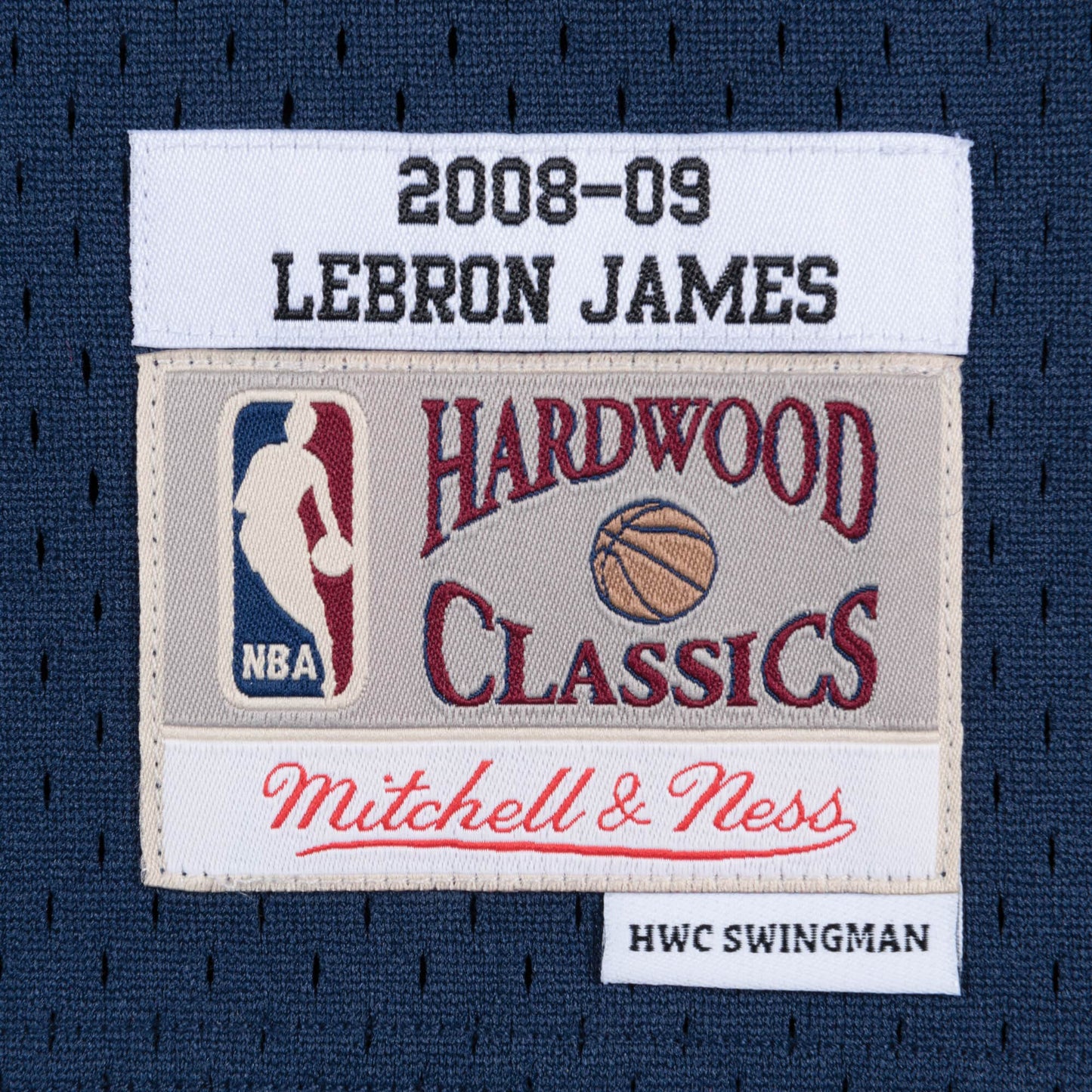 NBA Swingman Alternate Jersey Cleveland Cavaliers 2008-09 Lebron James